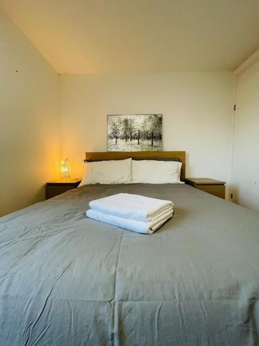 Lovely Duplex Apartment In Edinburgh City Centre Екстериор снимка